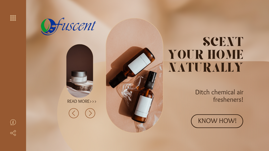 Say Goodbye to Artificial Air Fresheners – Scent Your Home Naturally