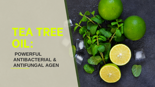 Tea Tree Oil: A Natural Solution for Bacteria and Fungi