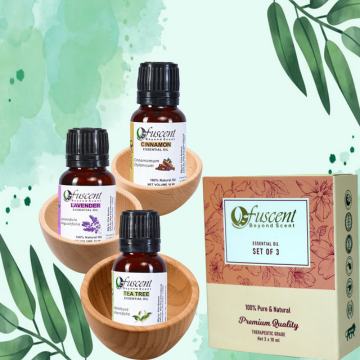 Essential Oil Combo (Pack of 3)– Tea Tree, Lavender & Cinnamon | 100% Pure & Natural (30 ml)