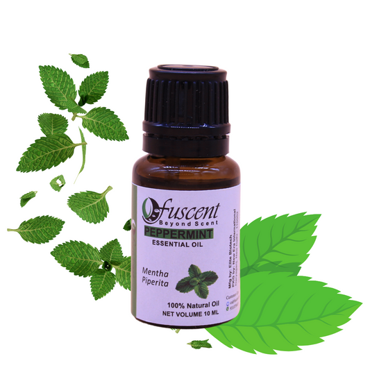FUSCENT Peppermint Essential Oil 10ml