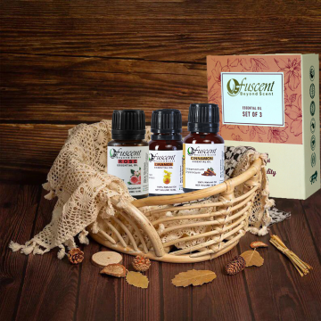 Essential Oil Combo (Pack of 3) – Rose, Orange & Cinnamon | 100% Pure & Organic (30 ml)
