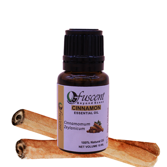 FUSCENT Cinnamon Essential Oil 10ml