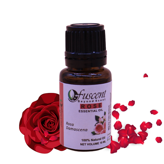 FUSCENT Rose Essential Oil 10ml