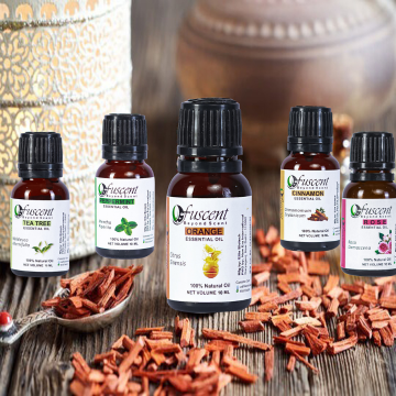Essential Oil Combo (Pack of 5) – Tea Tree, Rose, Cinnamon, Orange & Peppermint | 100% Pure & Organic (50 ml)
