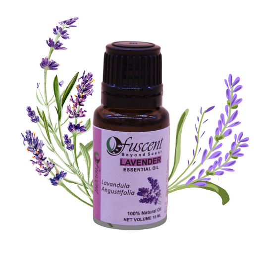 FUSCENT Lavender Essential Oil 10 ml