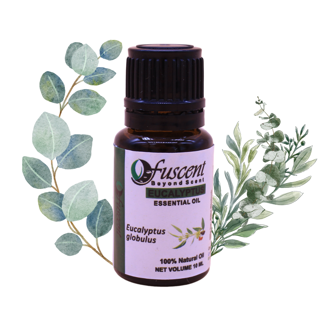 FUSENT Eucalyptus Essential Oil for Healthy Hair and Skin  | Natural Essential 0il 10ML