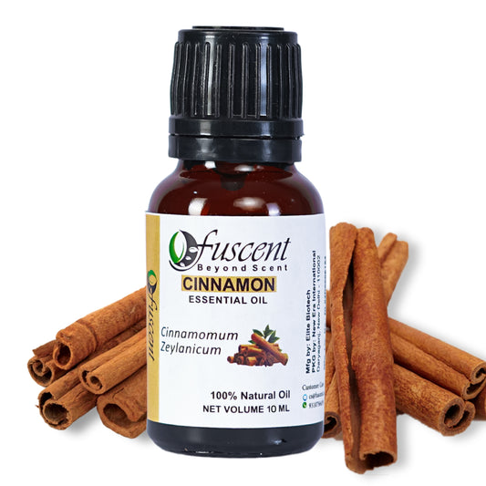 FUSCENT Cinnamon Essential Oil 10ml