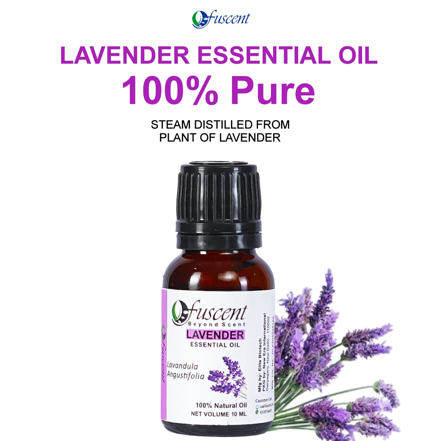 FUSCENT Lavender Essential Oil 10 ml