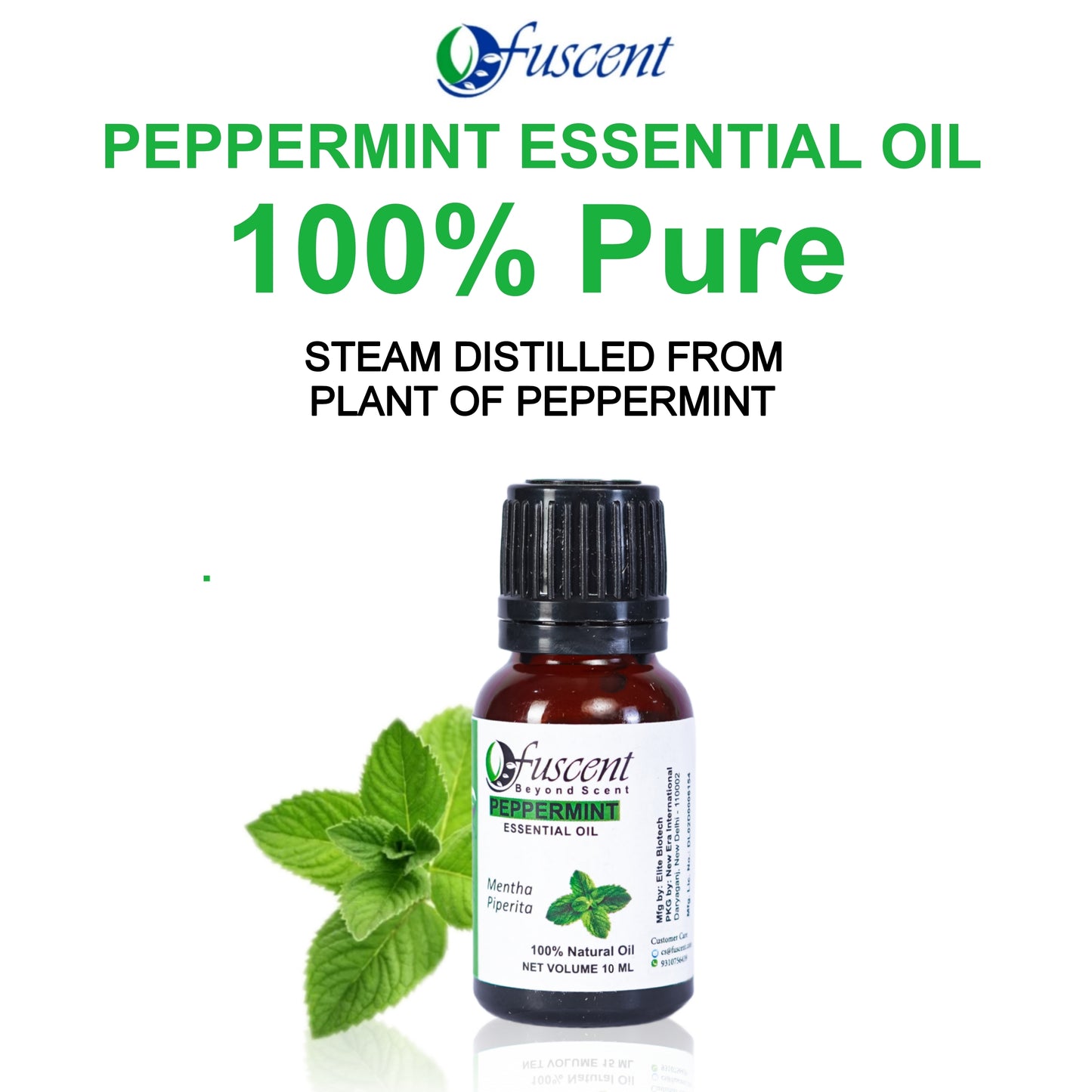 FUSCENT Peppermint Essential Oil 10ml