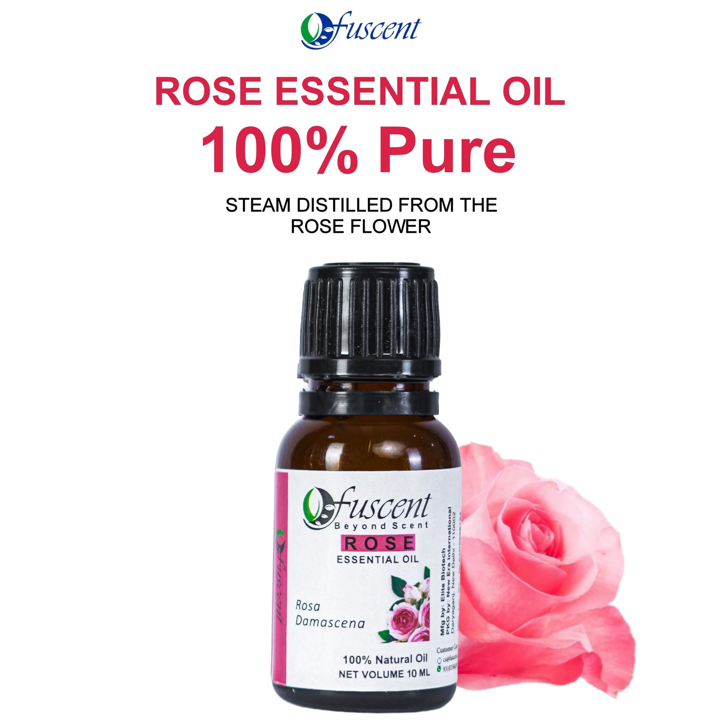 FUSCENT Rose Essential Oil 10ml