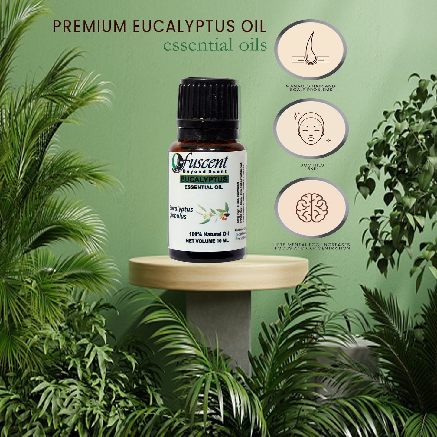 FUSENT Eucalyptus Essential Oil for Healthy Hair and Skin | Home fragrance & Soap Making, relaxation | Certified Oragnic 100% Pure Fresh And Undiluted | Natural Essential 0il 10ML